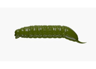 031 - Olive / No Taste