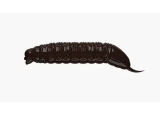 038 - Brown / No Taste