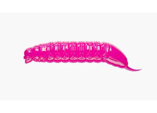 019 - Hot Pink / No Taste