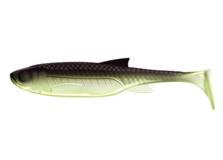 031 - Olive Whitefish