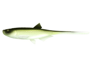 031 - Olive Whitefish