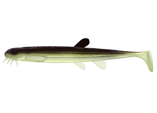 031 - Olive Whitefish