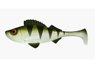 031 - Olive Whitefish