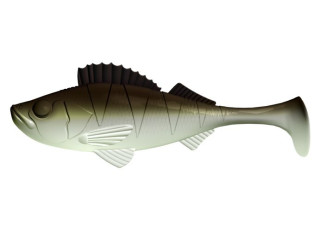 031 - Olive Whitefish