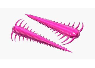 019 - Hot Pink / No Taste