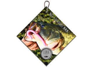 Bass