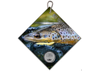 Trout