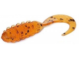 022 - Orange Pumpkin / Seed