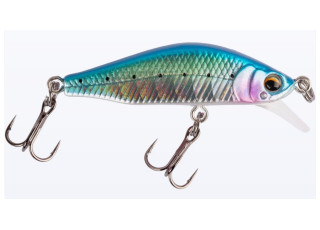 Baby Sardine
