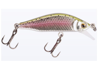 Rainbow Trout