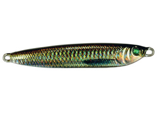 Shad