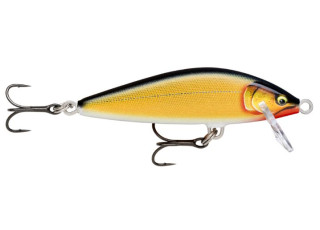 Gilded Gold Shad (GDGS)