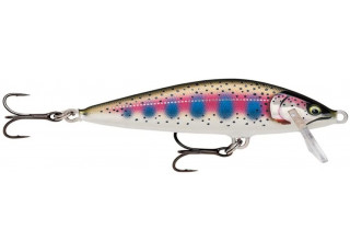 Gilded Rainbow Trout (GDRT)