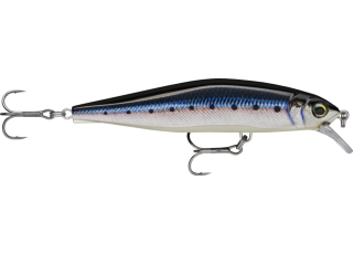 Live Blue Sardine (BSRDL)