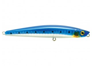BSRD - Blue Sardine