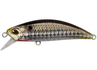 DHN0157 - Waka Mullet