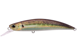 ANA0488 - Real Aji