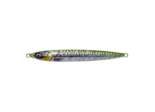 Green Mackerel PHP