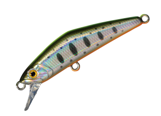 13 - Chartback Yamame