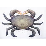 Gaby Mud Crab