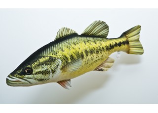 Gaby Largemouth Bass