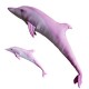 Gaby Pink Dolphin / Rozi delfin