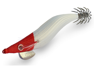 DTD Full Color Oita 3.0