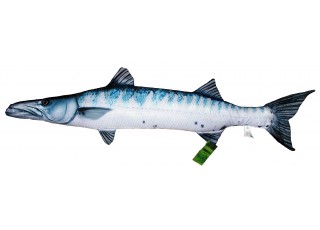 Gaby Barracuda / Barakuda 