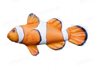 Gaby Clownfish / Riba klaun