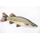 Gaby River Pike / Štuka V2