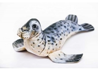 Gaby Grey Seal / Tuljan
