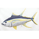 Gaby Yellowfin Tuna / Žutoperajna tuna