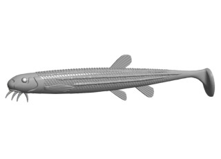 Libra Lures Musta Shad 5'' (12,5 cm)