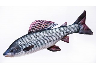 Gaby Grayling / Lipljan 