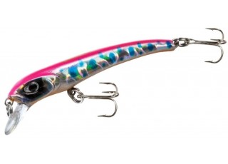 Molix Audace 55 S