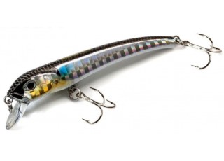 Molix Audace 65 SP
