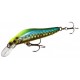 Molix Jubarino