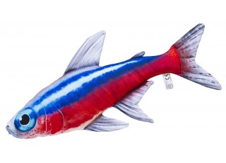 Gaby Neon Tetra / Riba neonka