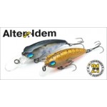 Pontoon21 Alter Idem