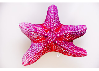 Gaby Starfish / Zvjezdača